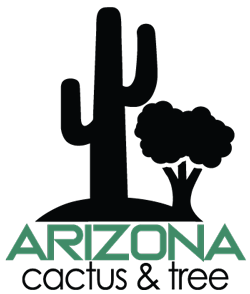 AZ Cactus & Tree Logo